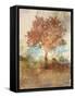 Sun Dappled Tree-Ken Roko-Framed Stretched Canvas