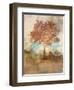 Sun Dappled Tree-Ken Roko-Framed Art Print