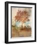 Sun Dappled Tree-Ken Roko-Framed Art Print