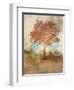 Sun Dappled Tree-Ken Roko-Framed Art Print