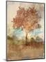 Sun Dappled Tree-Ken Roko-Mounted Art Print