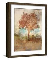 Sun Dappled Tree-Ken Roko-Framed Art Print