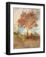 Sun Dappled Tree-Ken Roko-Framed Art Print