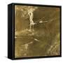 Sun Delta-Tyson Estes-Framed Stretched Canvas