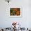 Sun Dew I-Sandra Jacobs-Framed Giclee Print displayed on a wall