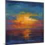 Sun Down II-Tim O'toole-Mounted Art Print