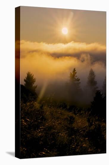 Sun Drenched Fog, Northern California Sunset, Above the Clouds-Vincent James-Stretched Canvas