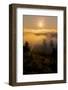Sun Drenched Fog, Northern California Sunset, Above the Clouds-Vincent James-Framed Photographic Print
