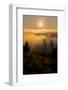 Sun Drenched Fog, Northern California Sunset, Above the Clouds-Vincent James-Framed Photographic Print
