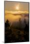 Sun Drenched Fog, Northern California Sunset, Above the Clouds-Vincent James-Mounted Photographic Print