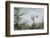 Sun Drenched I-Elizabeth Urquhart-Framed Photographic Print