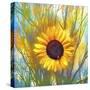 Sun Flower Art-Ata Alishahi-Stretched Canvas