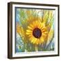 Sun Flower Art-Ata Alishahi-Framed Giclee Print