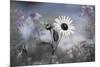 Sun Flower-Karin Connolly-Mounted Premium Giclee Print