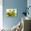 Sun Flowers And Green Vine Bouquet with Green Mountain Tops-null-Stretched Canvas displayed on a wall