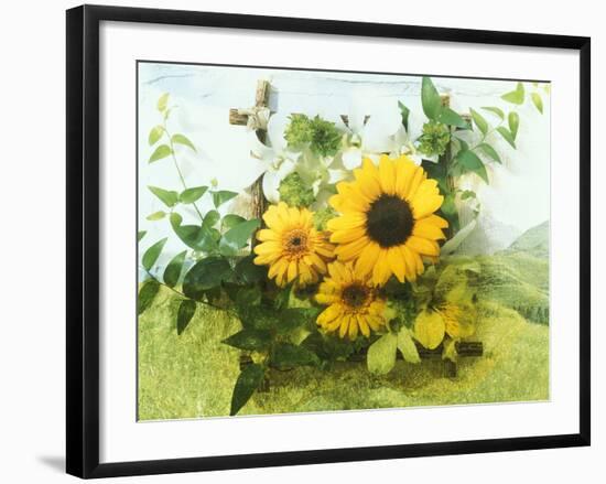 Sun Flowers And Green Vine Bouquet with Green Mountain Tops-null-Framed Photographic Print