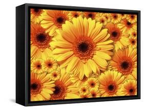 Sun flowers-Matthias Kulka-Framed Stretched Canvas