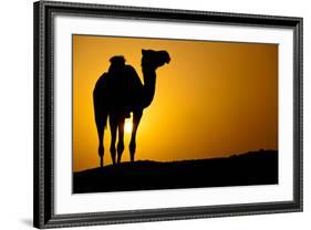 Sun Going Down in a Hot Desert: Silhouette of a Wild Camel at Sunset-l i g h t p o e t-Framed Photographic Print