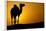 Sun Going Down in a Hot Desert: Silhouette of a Wild Camel at Sunset-l i g h t p o e t-Framed Photographic Print