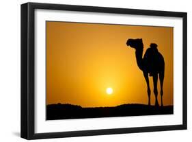 Sun Going Down in a Hot Desert: Silhouette of a Wild Camel at Sunset-l i g h t p o e t-Framed Photographic Print