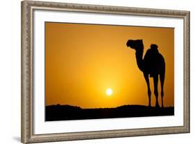 Sun Going Down in a Hot Desert: Silhouette of a Wild Camel at Sunset-l i g h t p o e t-Framed Photographic Print