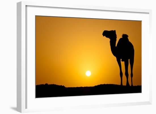 Sun Going Down in a Hot Desert: Silhouette of a Wild Camel at Sunset-l i g h t p o e t-Framed Photographic Print