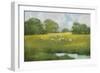 Sun Grazing-Julia Purinton-Framed Art Print