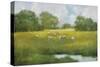 Sun Grazing-Julia Purinton-Stretched Canvas