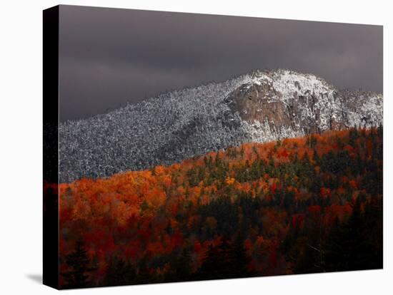 Sun Hits Fall Foliage Colors in the White Mountain National Forest in Twin Mountain, New Hampshire-null-Stretched Canvas