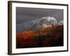 Sun Hits Fall Foliage Colors in the White Mountain National Forest in Twin Mountain, New Hampshire-null-Framed Photographic Print