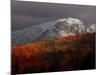 Sun Hits Fall Foliage Colors in the White Mountain National Forest in Twin Mountain, New Hampshire-null-Mounted Photographic Print