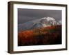 Sun Hits Fall Foliage Colors in the White Mountain National Forest in Twin Mountain, New Hampshire-null-Framed Photographic Print