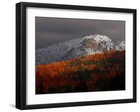Sun Hits Fall Foliage Colors in the White Mountain National Forest in Twin Mountain, New Hampshire-null-Framed Photographic Print