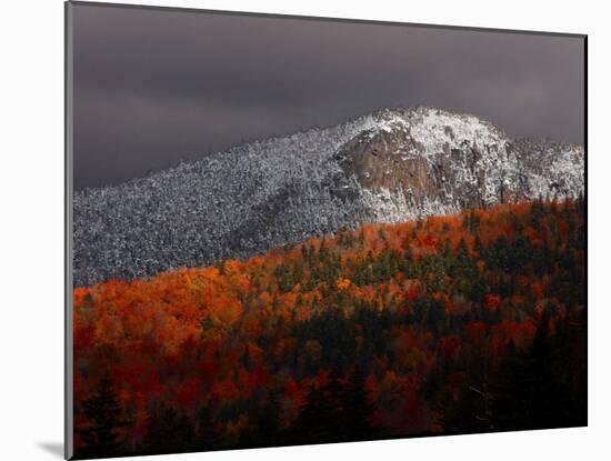 Sun Hits Fall Foliage Colors in the White Mountain National Forest in Twin Mountain, New Hampshire-null-Mounted Photographic Print