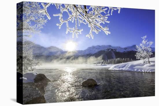 Sun Illuminates Tree Branches Covered with Frost Along the River Inn. Sils-ClickAlps-Stretched Canvas