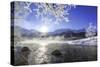 Sun Illuminates Tree Branches Covered with Frost Along the River Inn. Sils-ClickAlps-Stretched Canvas