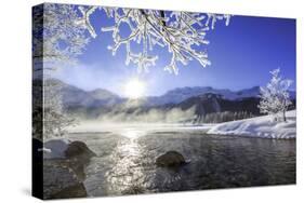 Sun Illuminates Tree Branches Covered with Frost Along the River Inn. Sils-ClickAlps-Stretched Canvas
