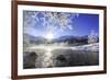 Sun Illuminates Tree Branches Covered with Frost Along the River Inn. Sils-ClickAlps-Framed Photographic Print