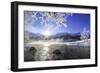 Sun Illuminates Tree Branches Covered with Frost Along the River Inn. Sils-ClickAlps-Framed Photographic Print