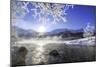Sun Illuminates Tree Branches Covered with Frost Along the River Inn. Sils-ClickAlps-Mounted Photographic Print