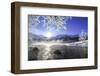 Sun Illuminates Tree Branches Covered with Frost Along the River Inn. Sils-ClickAlps-Framed Photographic Print