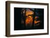 Sun in the Mist, Through the Trees, Oakland California-Vincent James-Framed Photographic Print