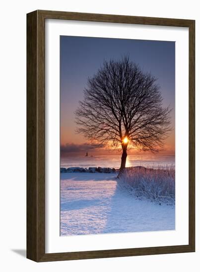 Sun In Tree-Michael Blanchette Photography-Framed Photographic Print