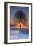 Sun In Tree-Michael Blanchette Photography-Framed Photographic Print