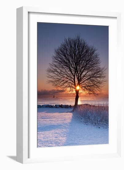 Sun In Tree-Michael Blanchette Photography-Framed Photographic Print