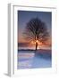 Sun In Tree-Michael Blanchette Photography-Framed Photographic Print