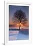 Sun In Tree-Michael Blanchette Photography-Framed Photographic Print