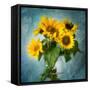 Sun Inside-Philippe Sainte-Laudy-Framed Stretched Canvas