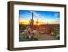 Sun is Setting between Saguaros, in Sonoran Desert.-Anton Foltin-Framed Photographic Print