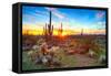 Sun is Setting between Saguaros, in Sonoran Desert.-Anton Foltin-Framed Stretched Canvas